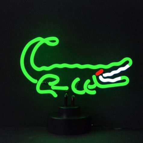 led_neon (19)