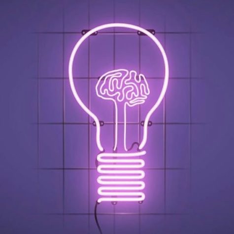 led_neon (26)