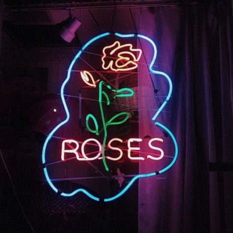 led_neon (3)