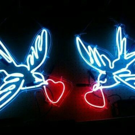 led_neon (40)