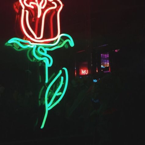 led_neon (50)